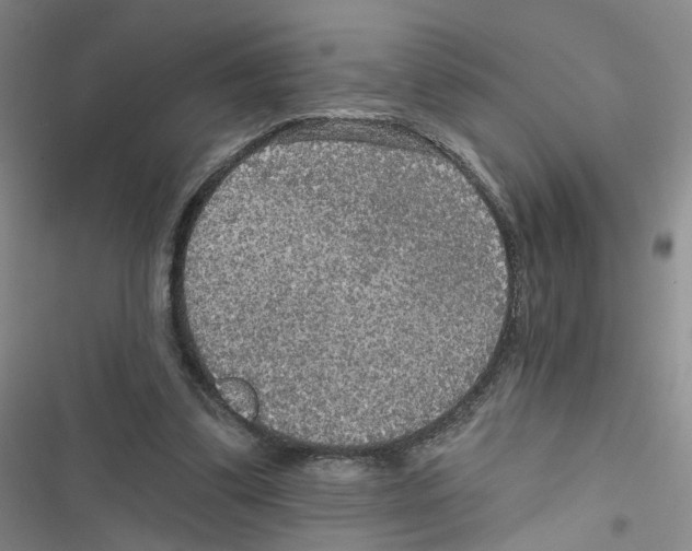 X0000116790299201001151107