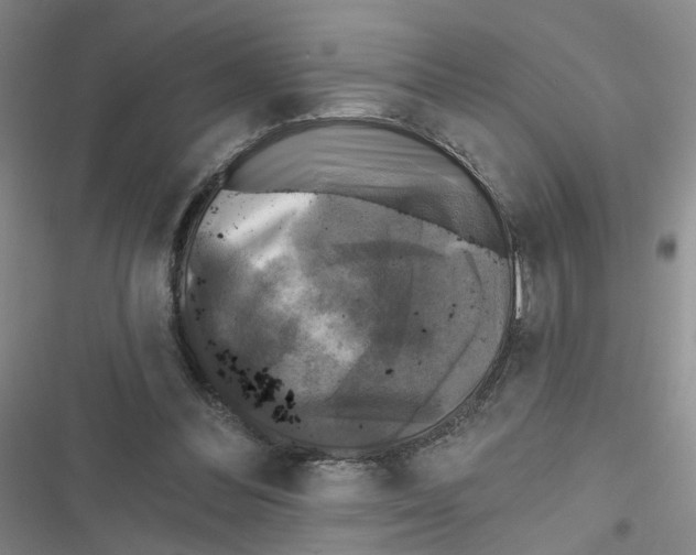 X0000116790300201001151107