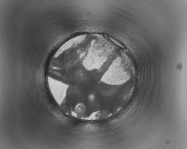 X0000116790303201001151107