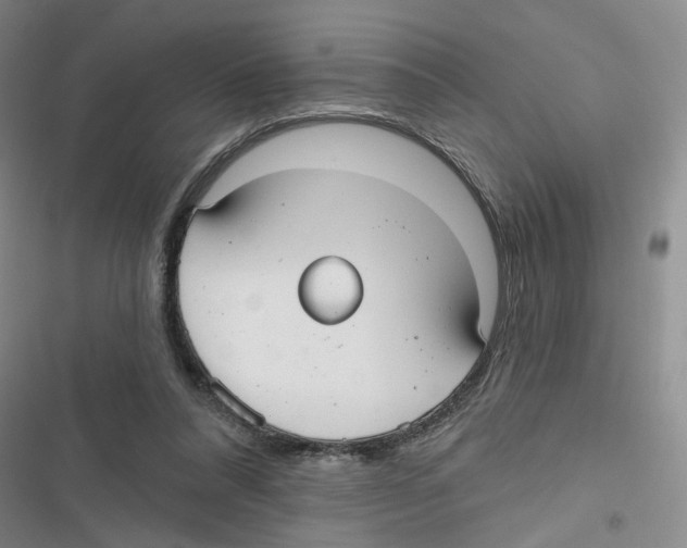 X0000116790304201001151107