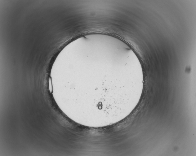X0000116790305201001151107