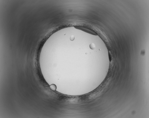 X0000116790306201001151107