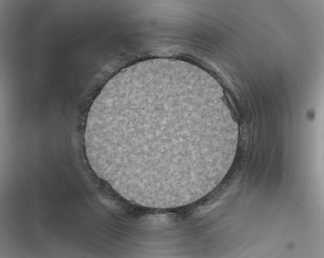 X0000116790307201001151107