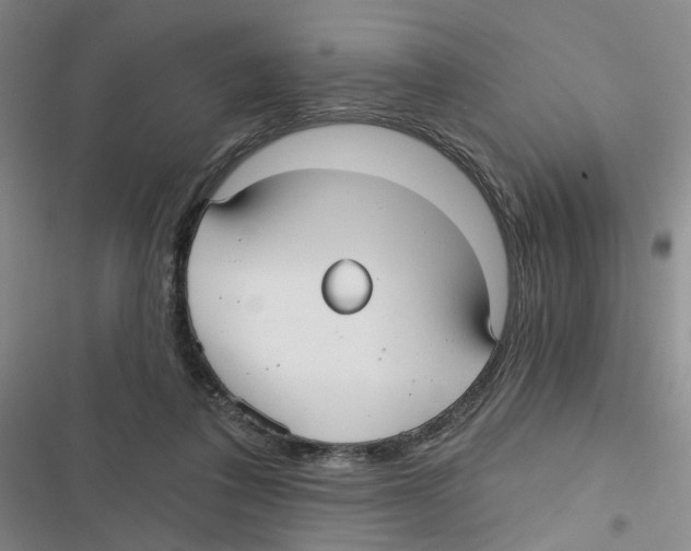 X0000116790308201001151107
