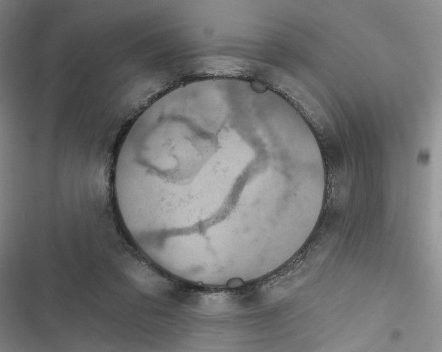 X0000116790309201001151107