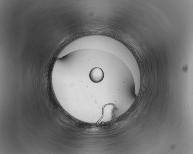 X0000116790312201001151107