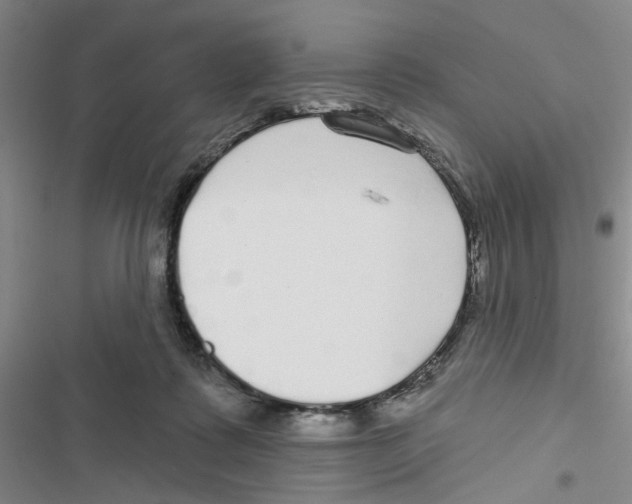 X0000116790315201001151107