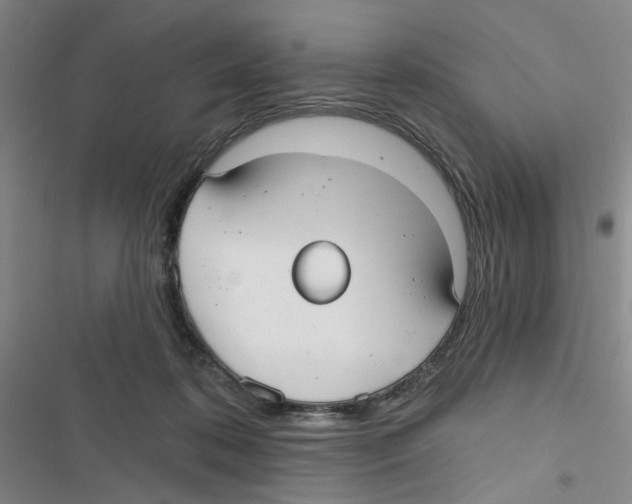 X0000116790316201001151107