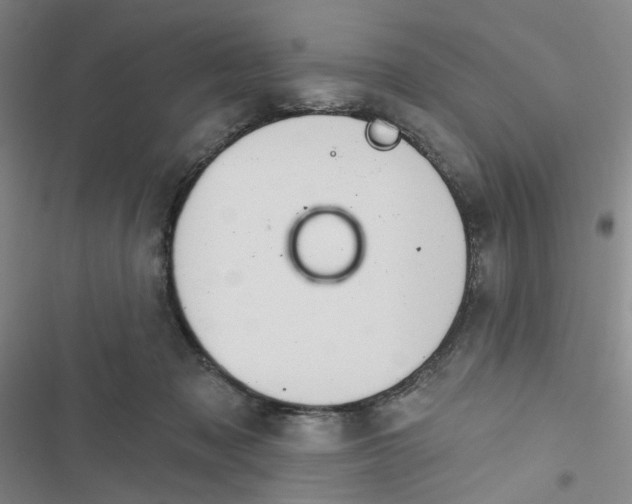 X0000116790317201001151107