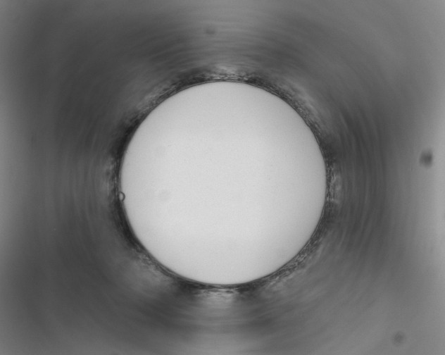 X0000116790318201001151107