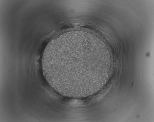 X0000116790319201001151107