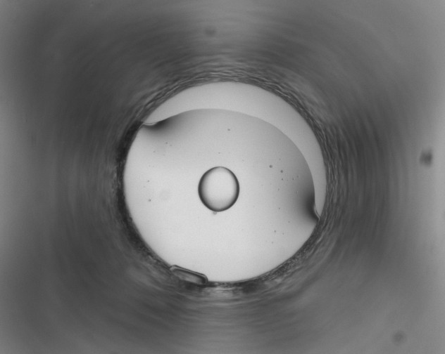 X0000116790320201001151107