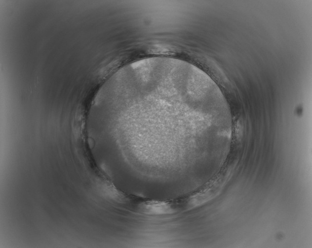 X0000116790322201001151107