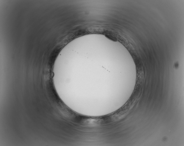 X0000116790323201001151107