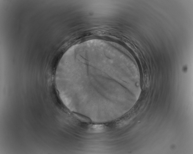 X0000116790324201001151107