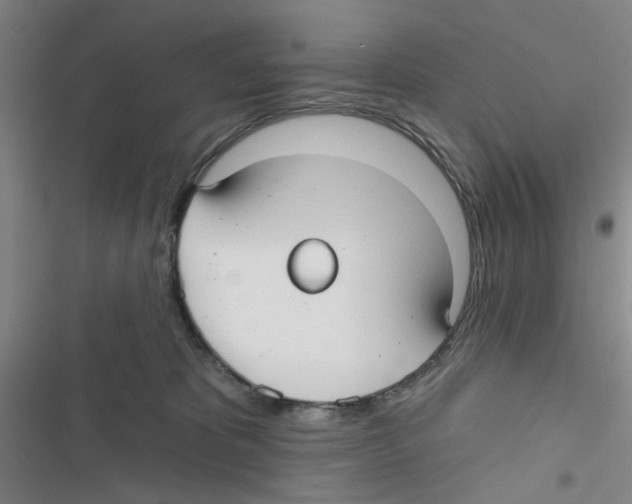 X0000116790325201001151107