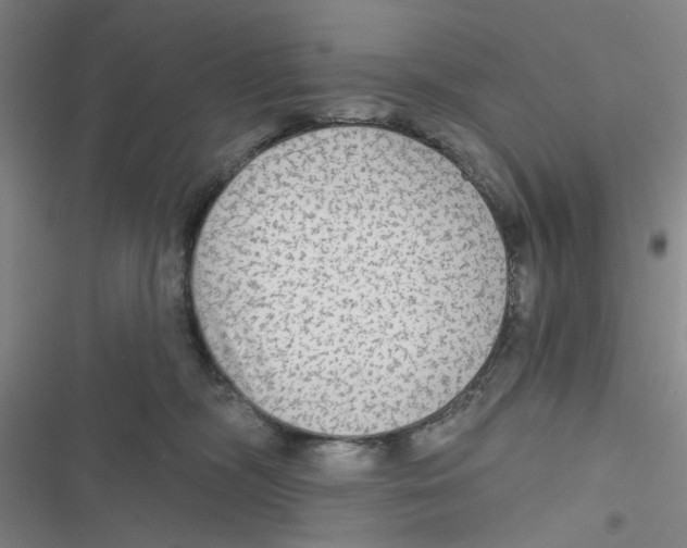 X0000116790326201001151107