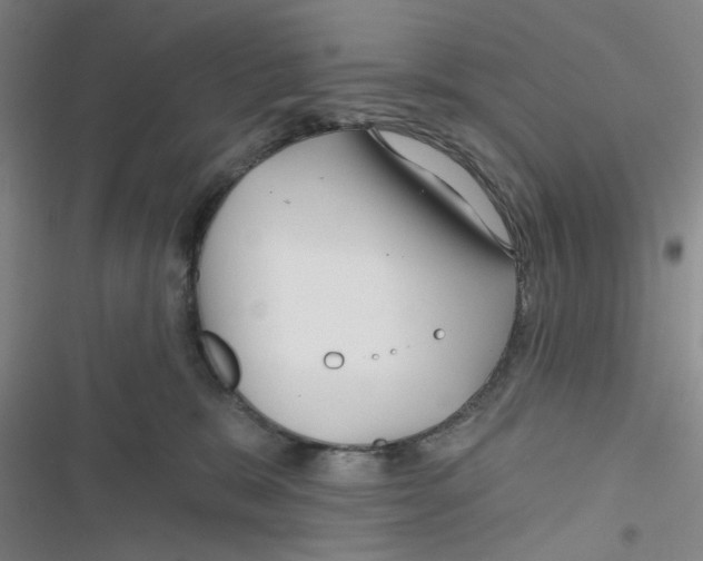 X0000116790327201001151107