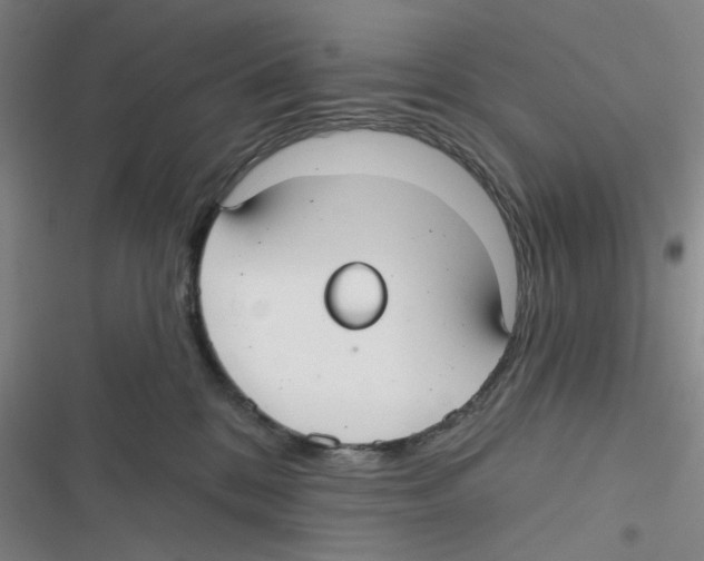 X0000116790328201001151107