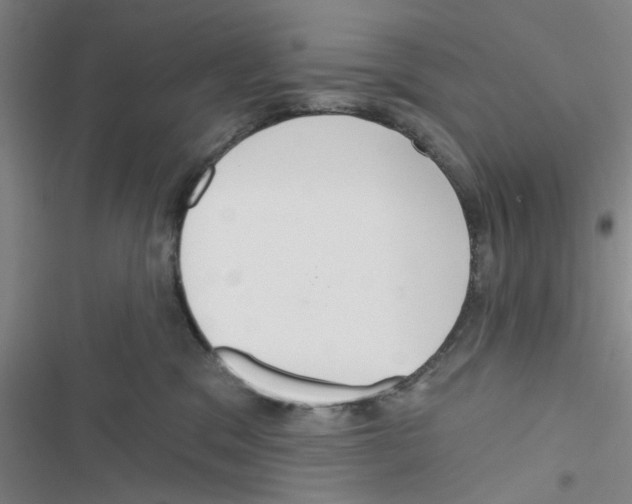 X0000116790329201001151107