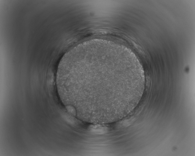 X0000116790331201001151107