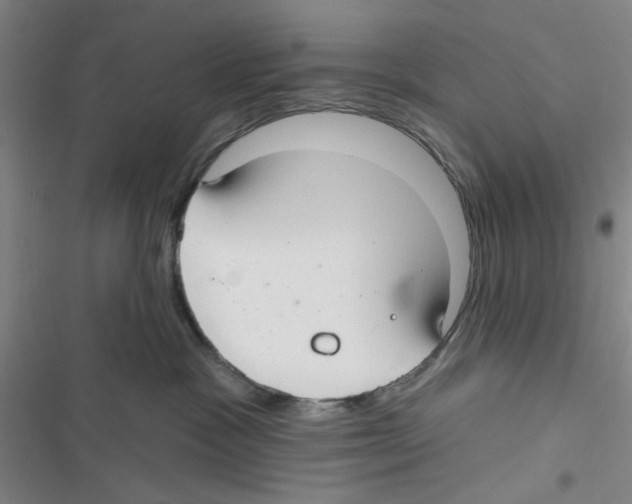 X0000116790333201001151107