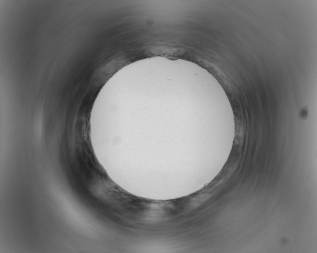 X0000116790334201001151107