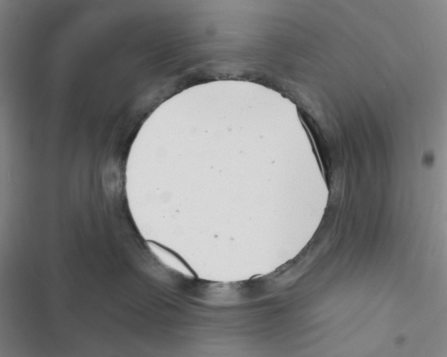 X0000116790335201001151107