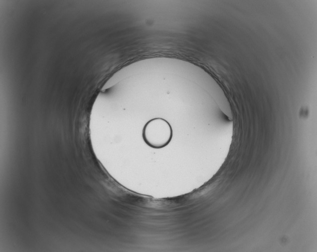 X0000116790336201001151107