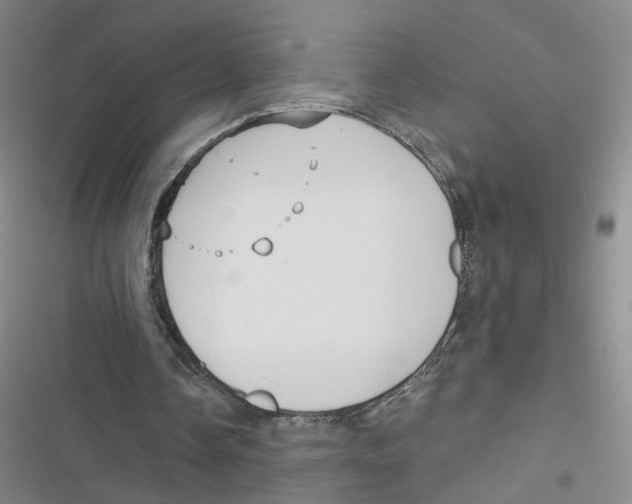 X0000116790338201001151106