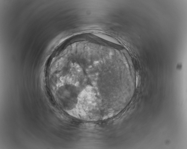 X0000116790339201001151106