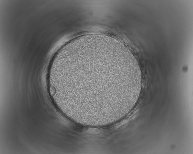 X0000116790341201001151106