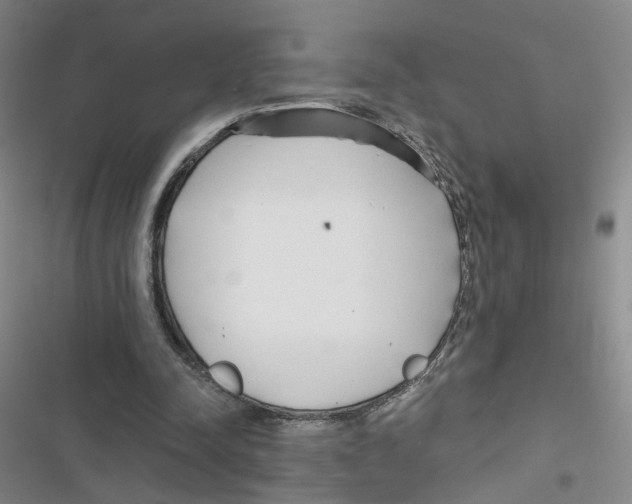 X0000116790342201001151106