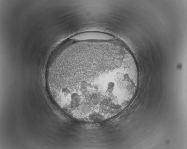 X0000116790345201001151106