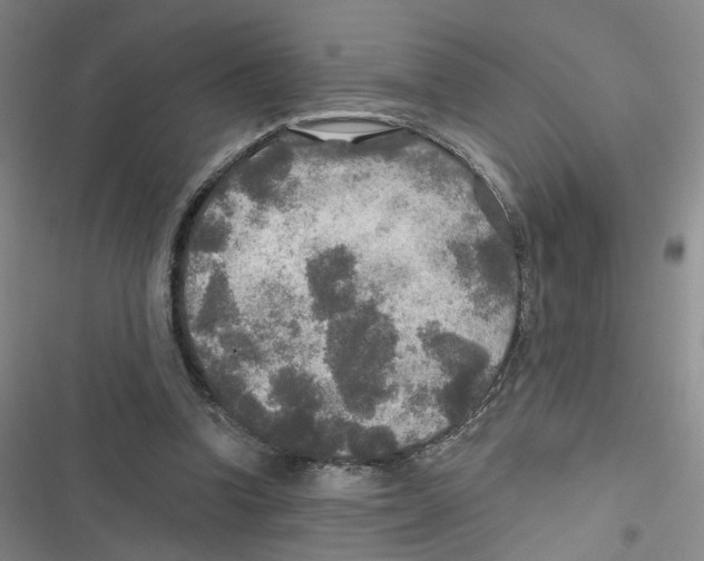 X0000116790346201001151106