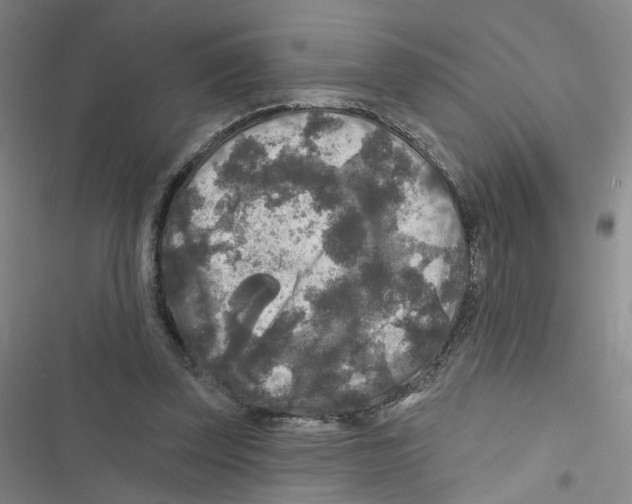 X0000116790347201001151106
