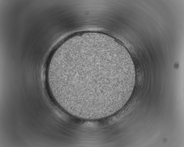 X0000116790350201001151106