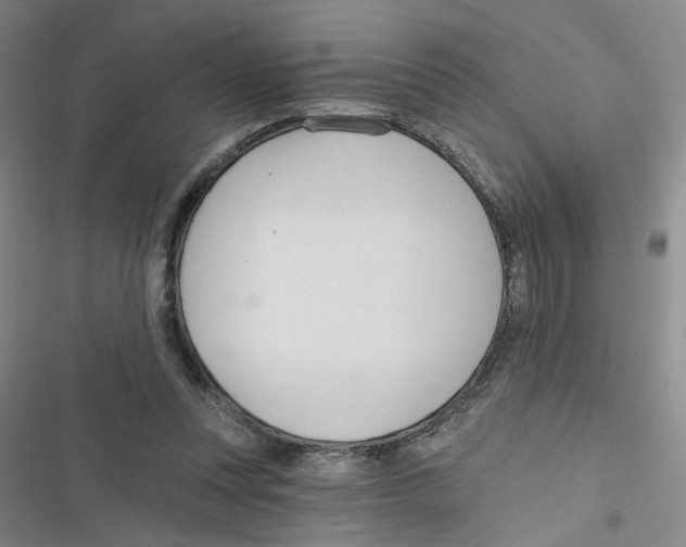 X0000116790351201001151106
