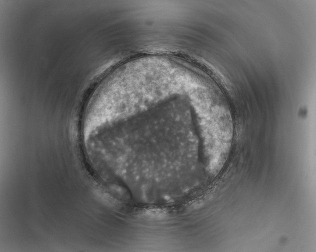 X0000116790353201001151106