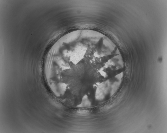 X0000116790357201001151106