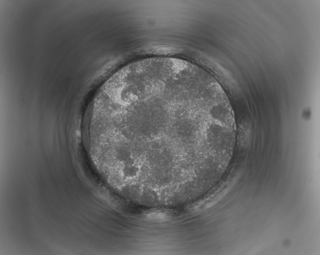 X0000116790358201001151106
