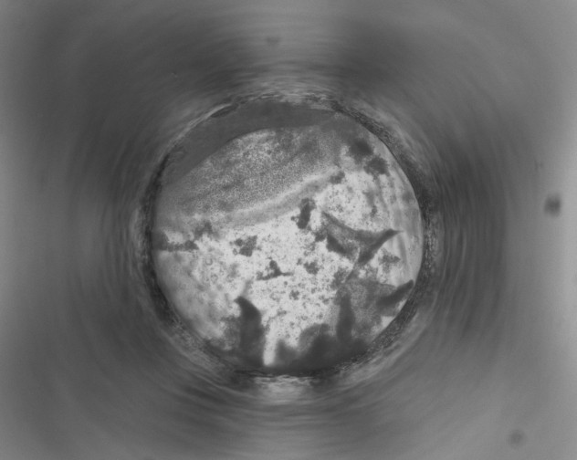 X0000116790359201001151106