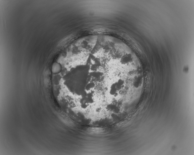 X0000116790361201001151106