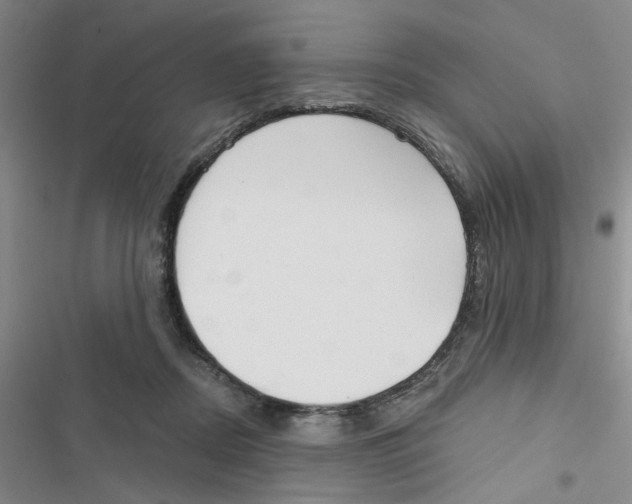 X0000116790362201001151106