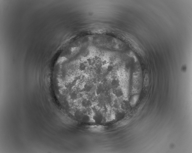 X0000116790363201001151106