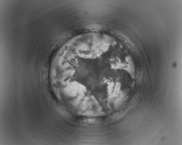 X0000116790365201001151106