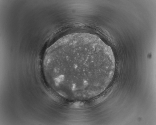 X0000116790366201001151106