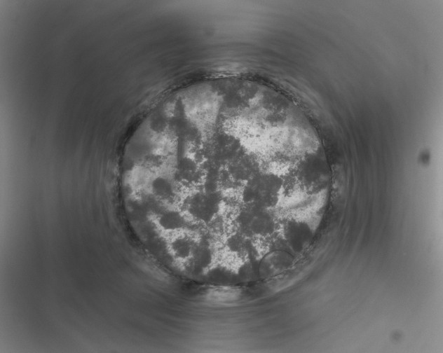 X0000116790369201001151106