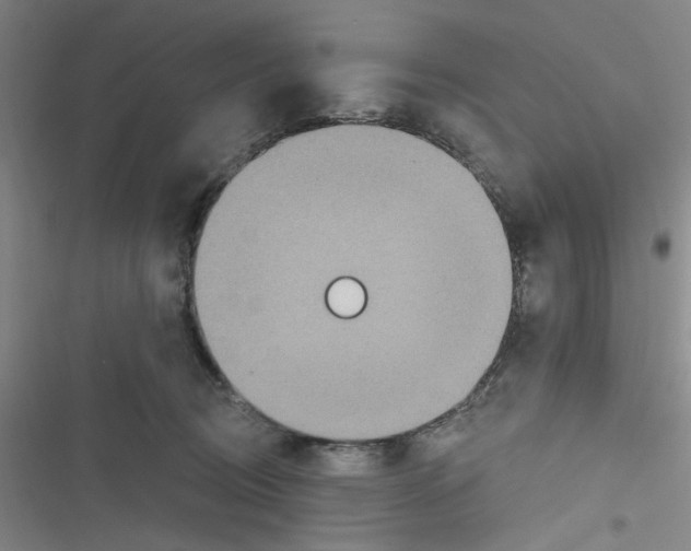 X0000116790370201001151106