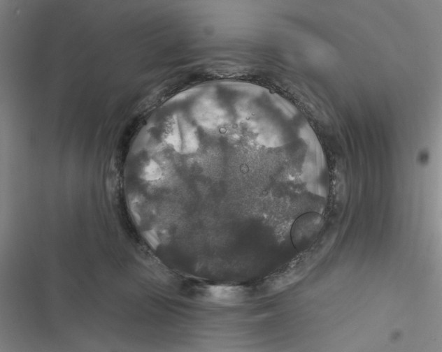 X0000116790371201001151106